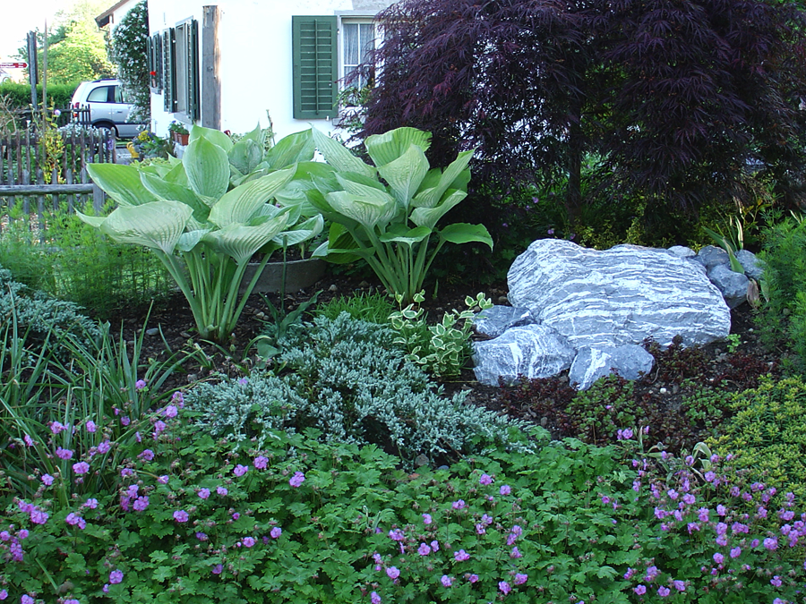 Suchergebnis Auf Amazon De Fr Balkon Sichtschutz